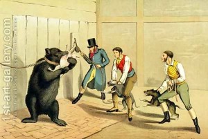 El oso esgrimista - ilustración